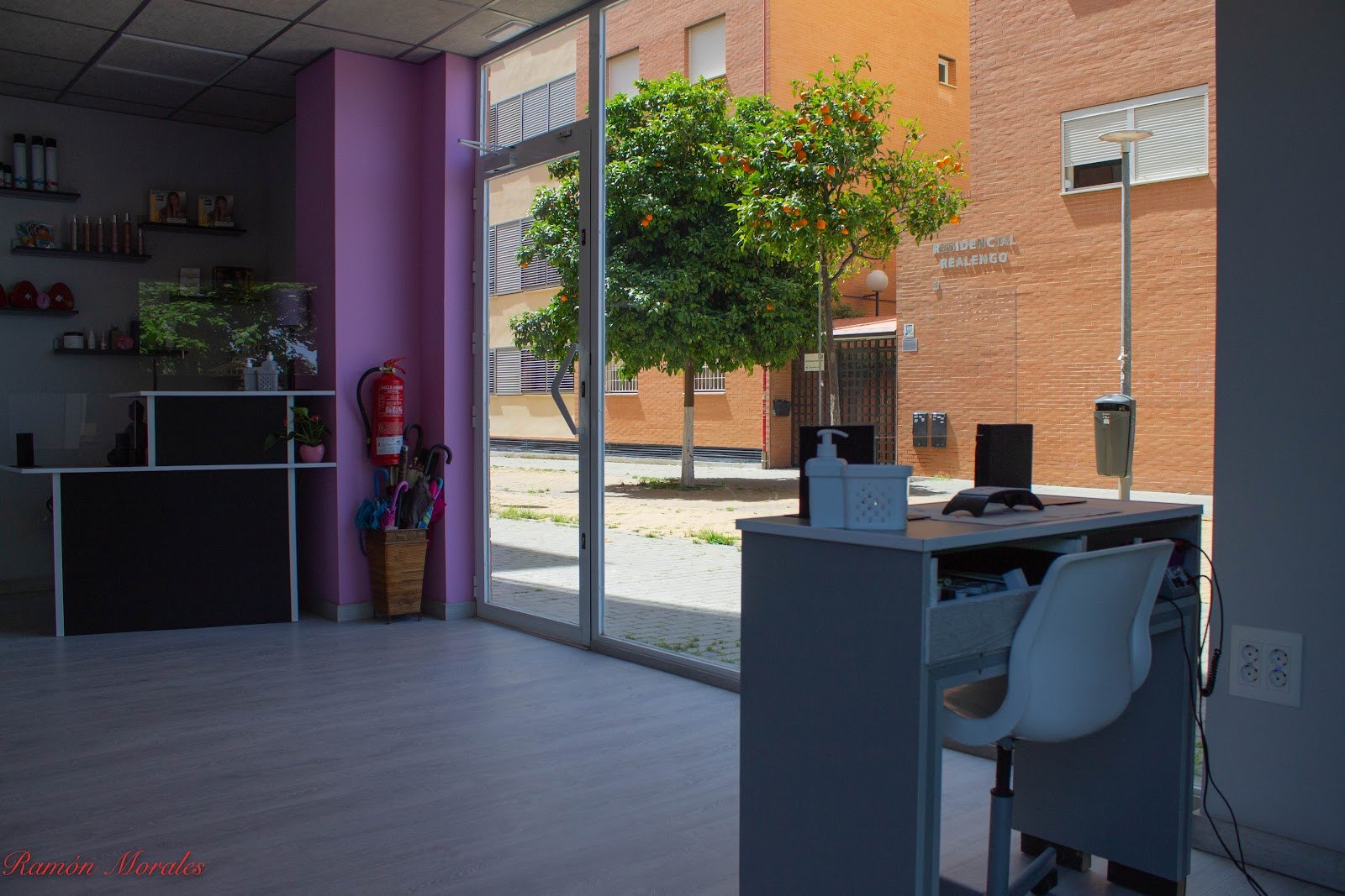 Recepción del salón con estanterías de productos y el escaparate a la calle